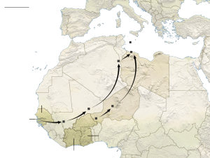 The routes to Agadez and Libya