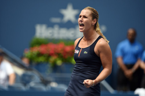 Dominika Cibulkova stuns Ivanovic