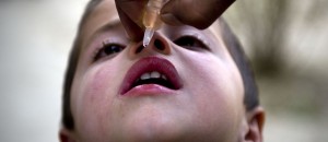 A child receives oral polio vaccine