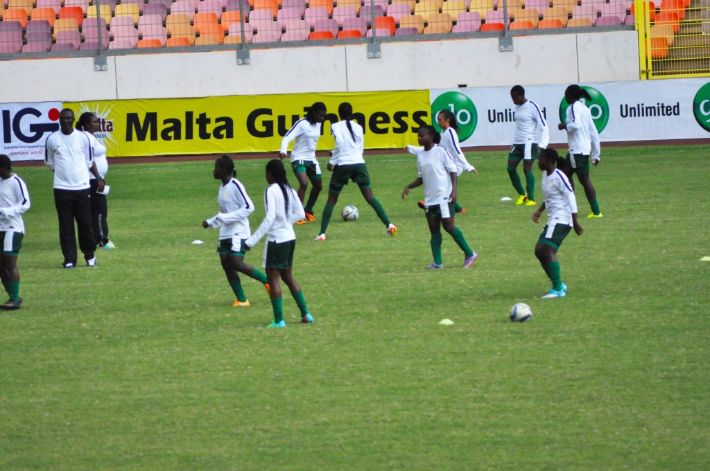 Falconets during training