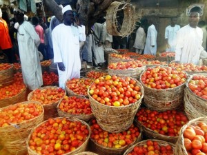 Kano's tomato traders: cost of tomato jumps through the roof