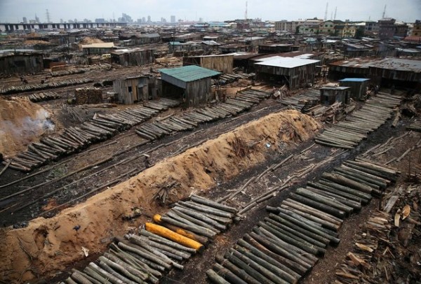 Okobaba sawmill