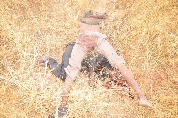 The Boko Haram terrorists killed today