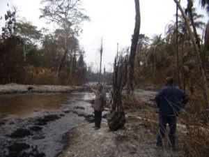 Pollution in the Niger Delta