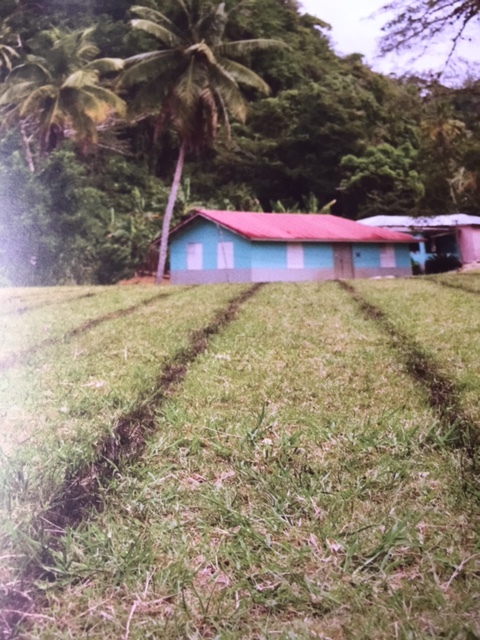 The school tracks used by Bolt early in life