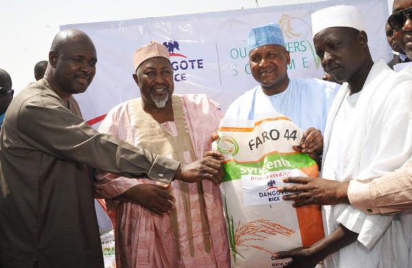 Alhaji Aliko Dangote presenting the first harvest of Dangote Rice to dignitaries – 789marketing