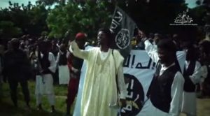 Boko Haram members at a gathering: Senator says they are occupying over 40 communities in Borno