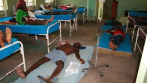 Hospital ward filled with victims of bites from snakes. Credit: BBC