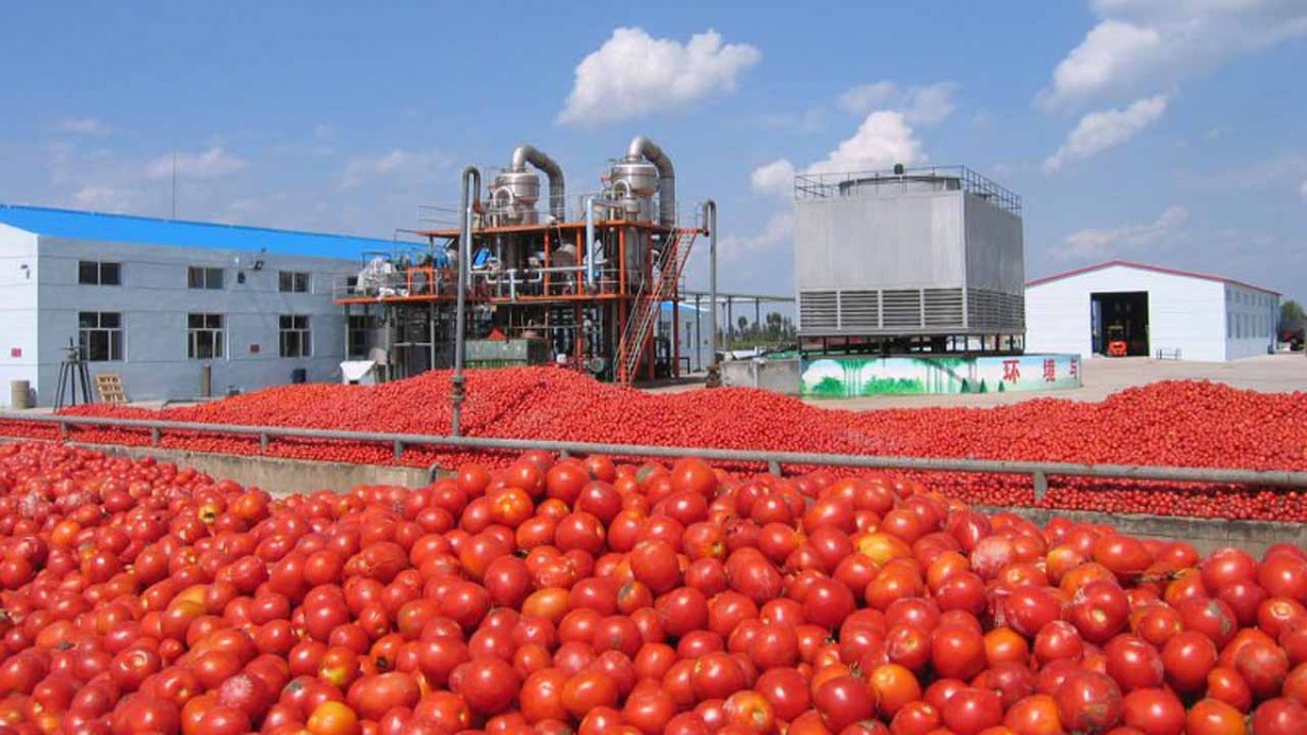 NASCON posts N4.4bn profits; to pay 100k dividend