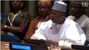 Mohammed-Bande at the session.