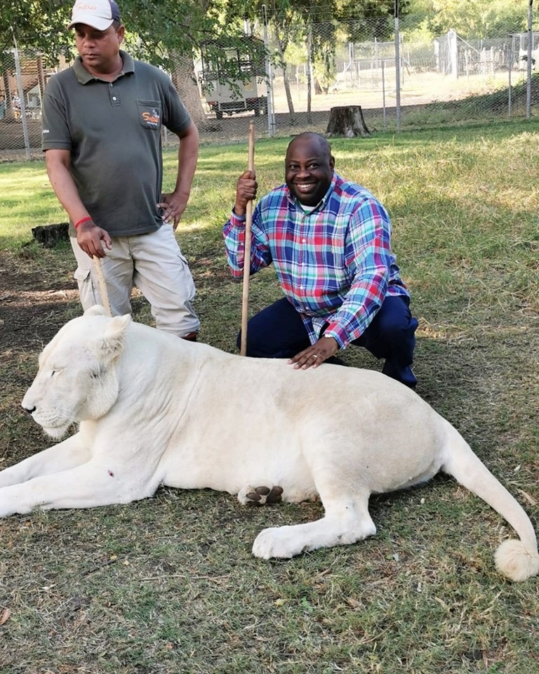 In Pictures: Dele Momodu and the White Lions in Mauritius