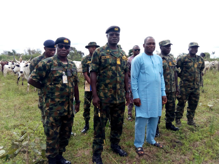 Navy Recovers 318 Livestock from Cattle Rustlers