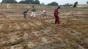 File: Nigerian farmers preparing land for farming: Kwara has allocated 500 hectares for youth farming