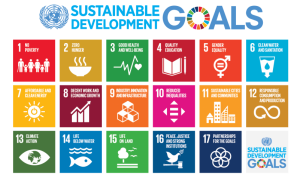 SDGs Poster: UN Economic and Social Council (ECOSOC) says developing countries require need 4.3 trillion dollars to realise the 17 objectives of the Sustainable Development Goals (SDGs) by 2030