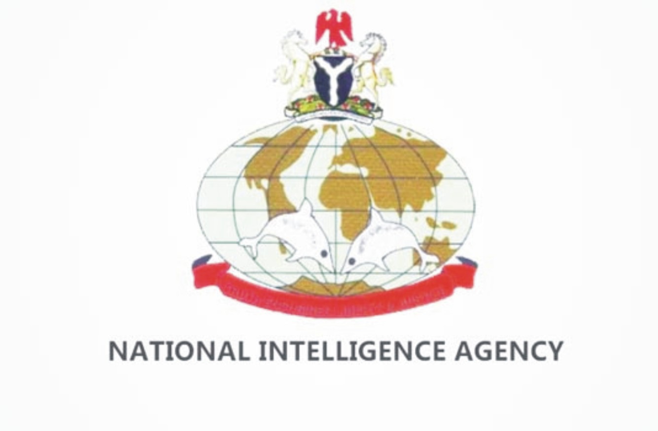 Why NIA, DIA need N20bn for upgrade of spy facilities – Report