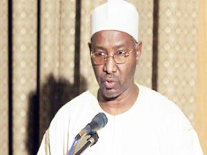 Usman Bugaje: Dr Usman Bugaje, a member of Rescue Nigeria Project