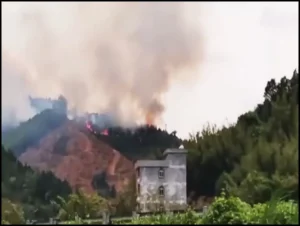 Plane crash in China
