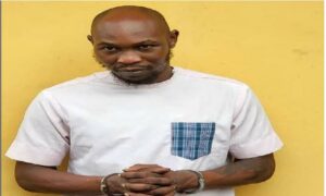 seun kuti