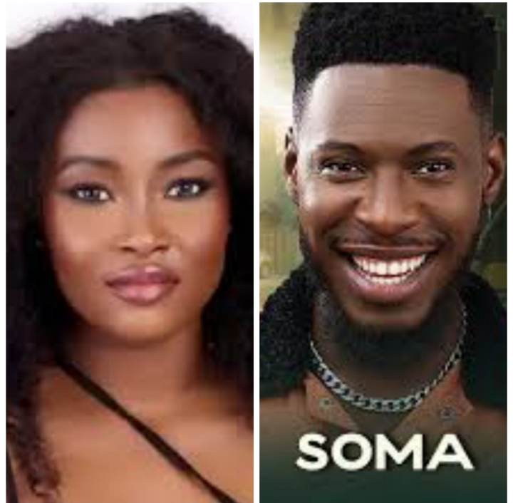 BBNaija after party: And Ilebaye, Soma wept: Read why