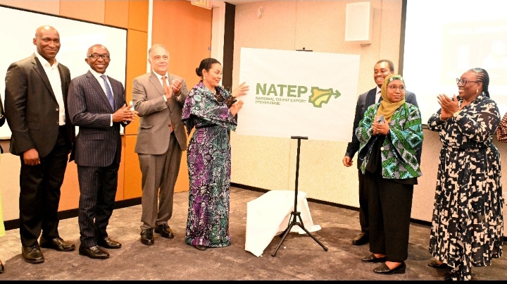 Mr. Charles Okochu, Senior Business Development Manager (AWS) Dr.Armstrong Takang, CEO Ministry of Finance Incorporated, Mr. John G. Coumantaros, Chairman US-Nigeria Business Council, Dr. Doris Uzoka-Anite, Minister of Industry, Trade & Investment, Dr. Femi Adeluyi, National Coordinator, National Talent Export Programme, Amal Hassan,CEO Outsource Global and Adaora Ikenze, Meta Head of Public Policy for West and Central Africa at the launch of NATEP in New York on the sideline of United Nations General Assembly