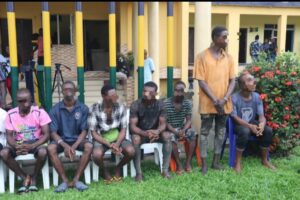 Suspects paraded over various crimes