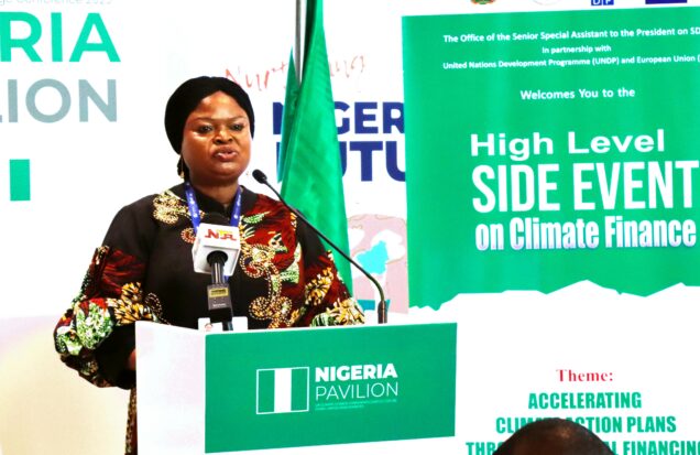 Princess Orelope Adefulire speaking at the COP28 side event of OSSAP-SDGs