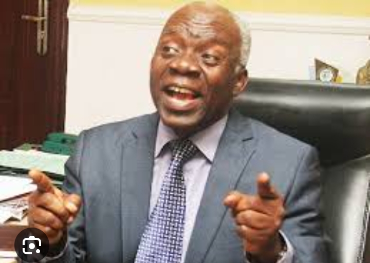 Femi Falana,SAN