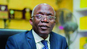 Femi Falana4