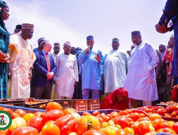The commissioning of the tomato factory Friday