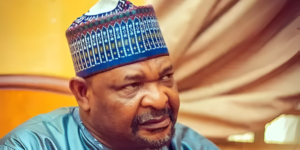 Senator Abdul Ningi