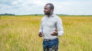 Dr. Kpaka on one of the country’s rice fields