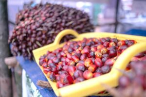 Palm oil nuts