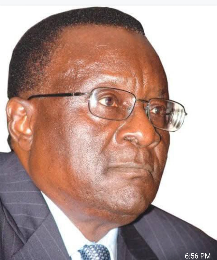 Chief Gani Fawehinmi