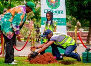 Governor of Lagos State, Mr. Babajide Sanwo-Olu (right) planting a tree, being assisted by the General Manager, Lagos State Parks and Gardens Agency (LASPARK), Mrs. Adetoun Popoola (left) and Miss Ailero Akin Abayomi (middle) during the Y2024 Tree Planting Day with the theme: Nurture Our Future, at Lagos House, Marina, on Sunday, 14 July 2024