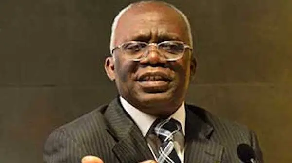 Femi Falana, SAN
