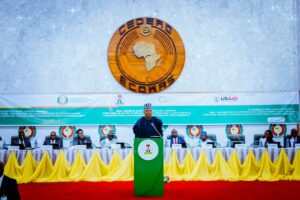 VP Shettima who represented President Tinubu at the ECOWAS meeting