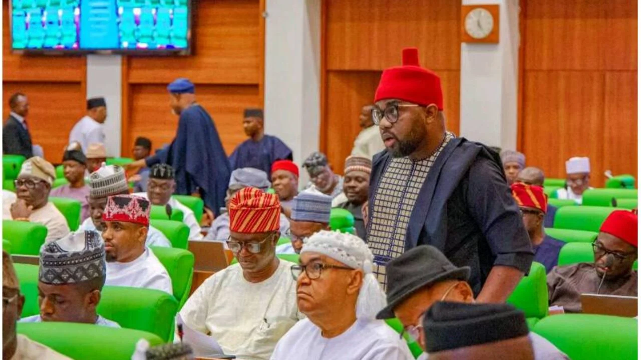 Ikenga Ugochinyere in House of Reps.jpg