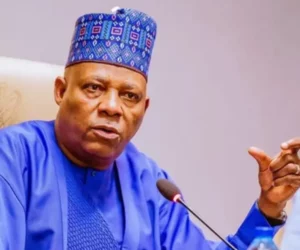 VP Kashim Shettima
