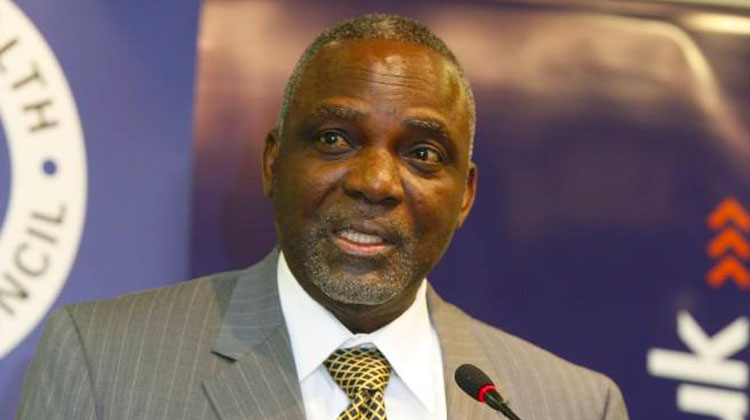 Professor Bart Nnaji.jpg