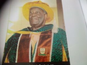 Professor Ibrahim Agboola Gambari.jpg