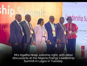 Participants at the three-day Energy Summit