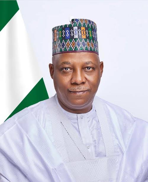 VP Kashim Shettima2