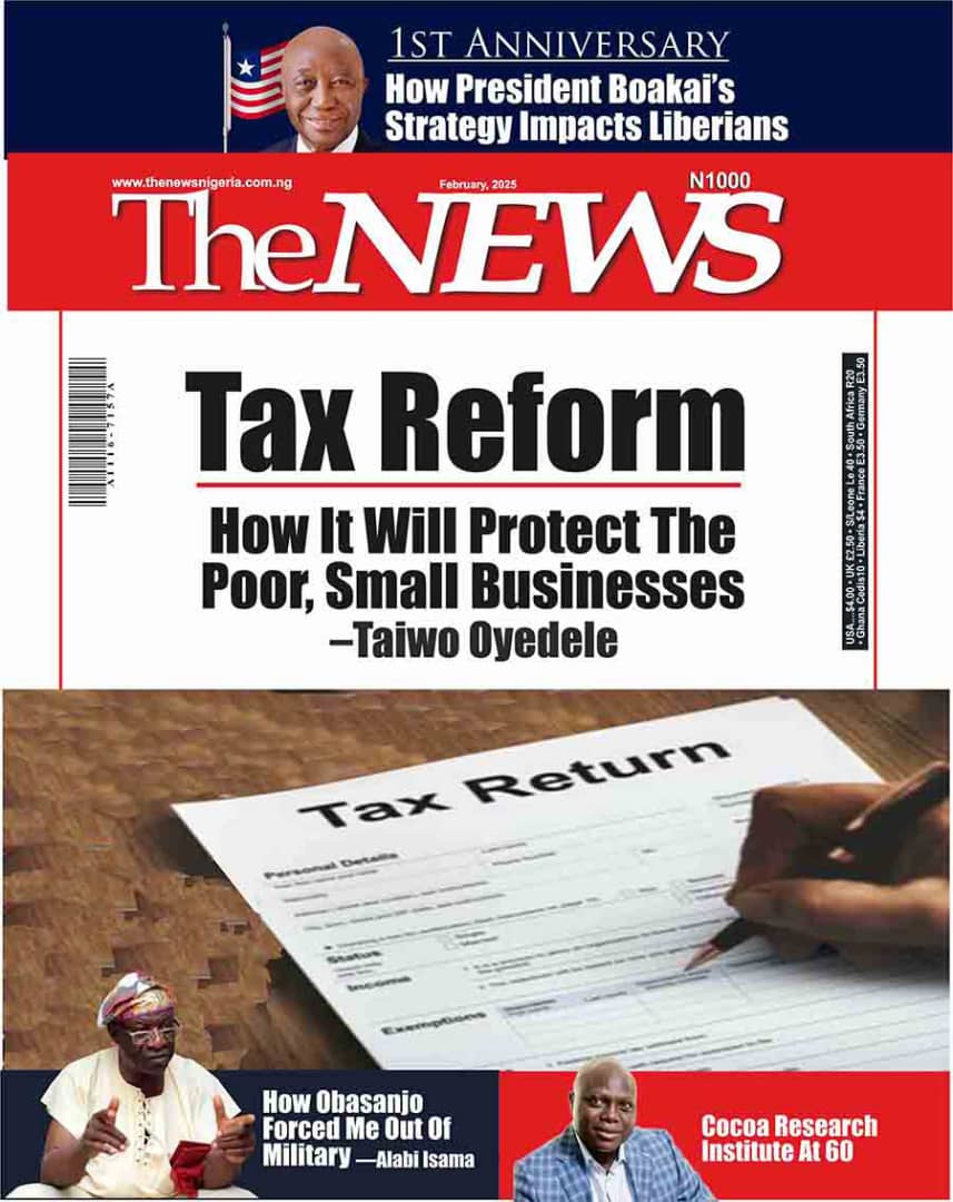 Tax Reform: How It Will Protect the Poor, Small Businesses—Taiwo Oyedele