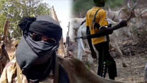 Killer herdsmen