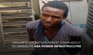 The suspected vandal