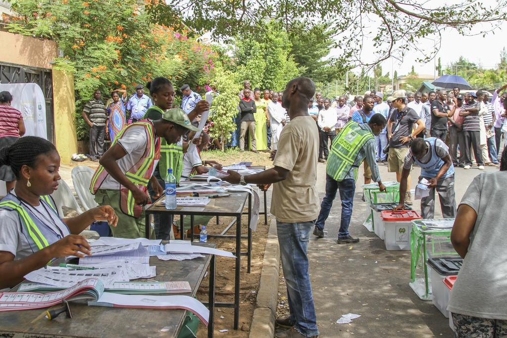 Nigerian voters