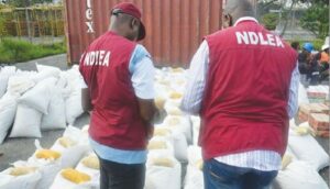 NDLEA officials