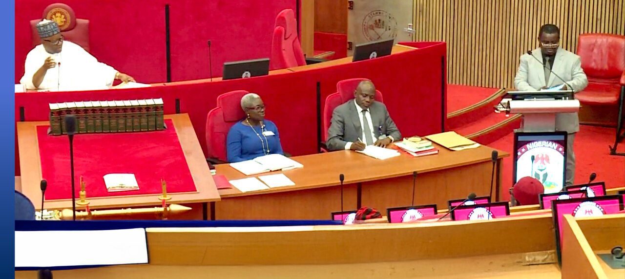 Professor Joash Amupitan, right, at the Senate. Channels photo