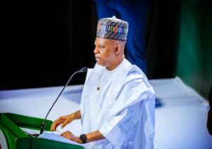 VP Kshim Shettima