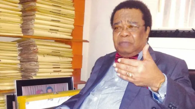 Professor Bolaji Akinyemi
